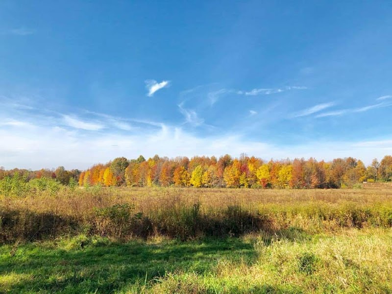 Assunpink Wildlife Conservation Center