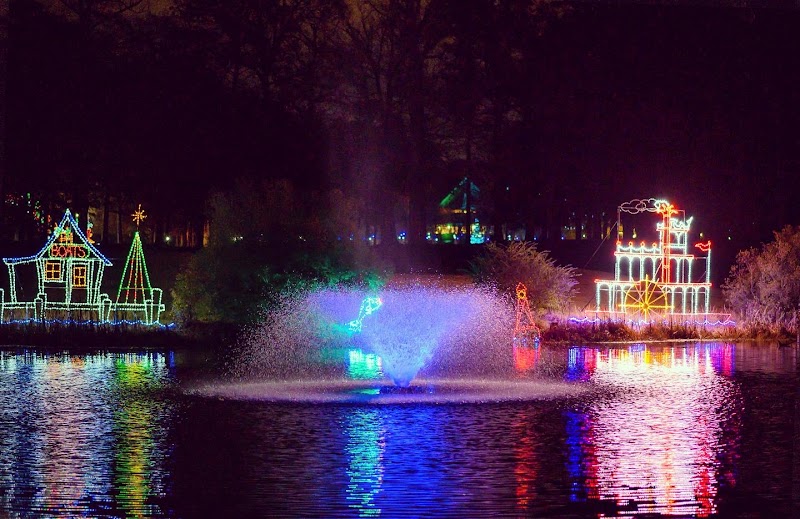 Celebration In Lights