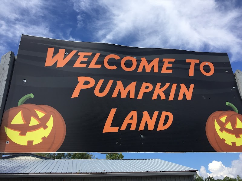 Windmill Farm Market