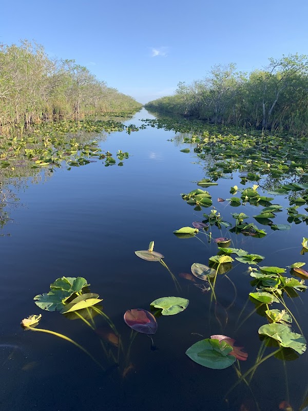 Captain Willy Everglades Tours