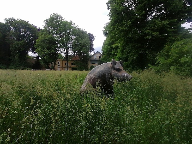 Skulptur Eber
