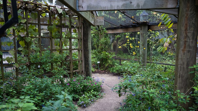 KAREN WERTHEIMER BUTTERFLY HABITAT