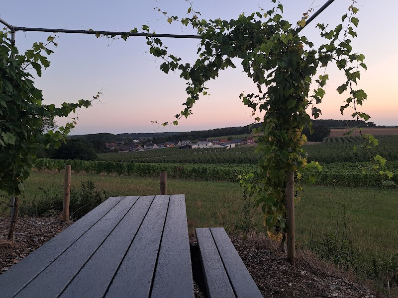 Uitkijkpost: druivelaars Kluisberg