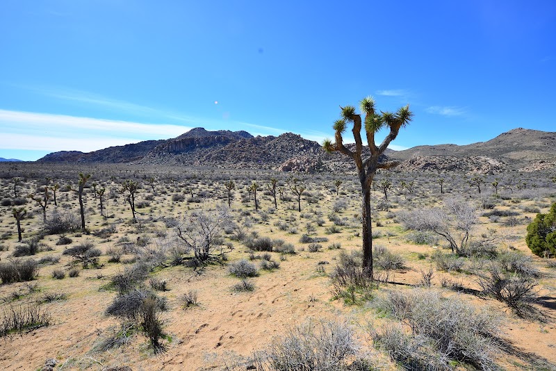 Quail Springs Trail