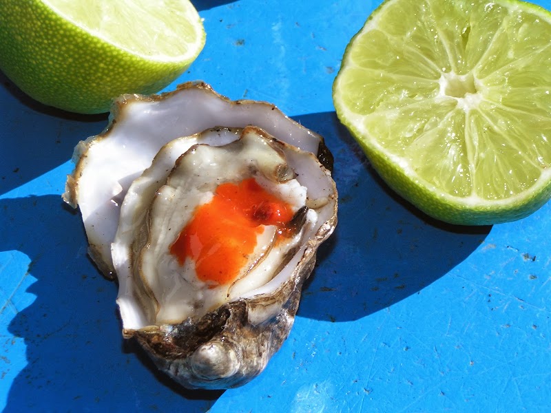 Tomales Bay Oyster Company