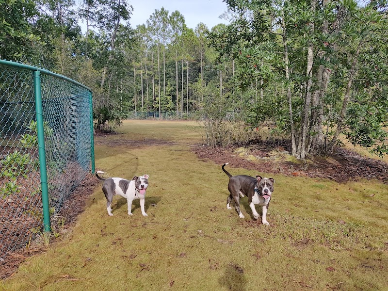 Veterans Park Dog Park