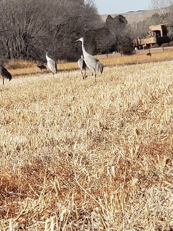 Los Poblanos Fields Open Space