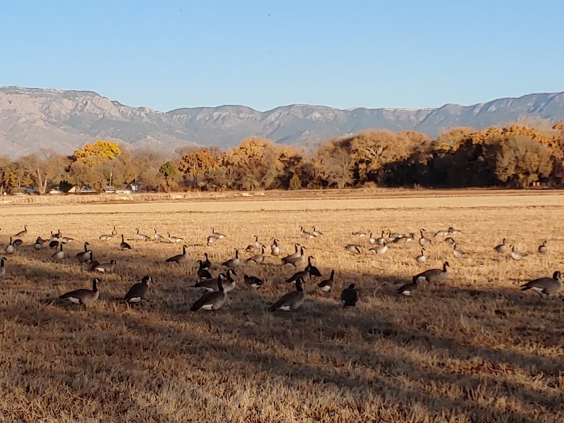 Los Poblanos Fields Open Space