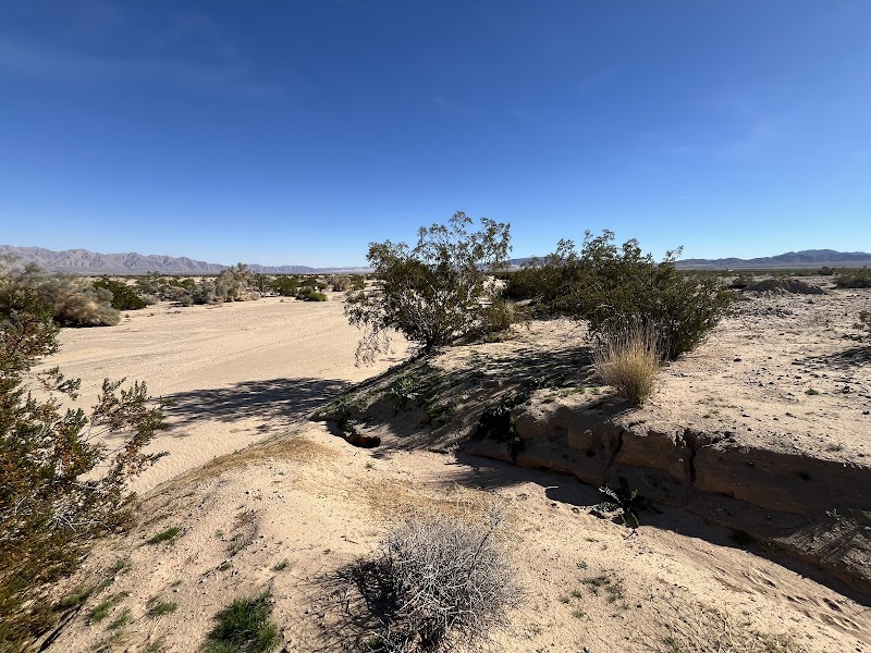 Sof HaOlam Ranch