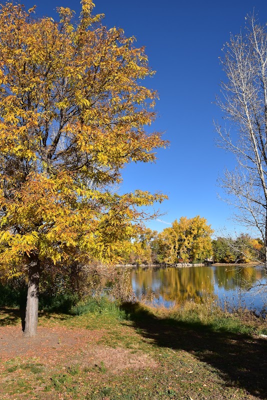 Harvey Park Lake