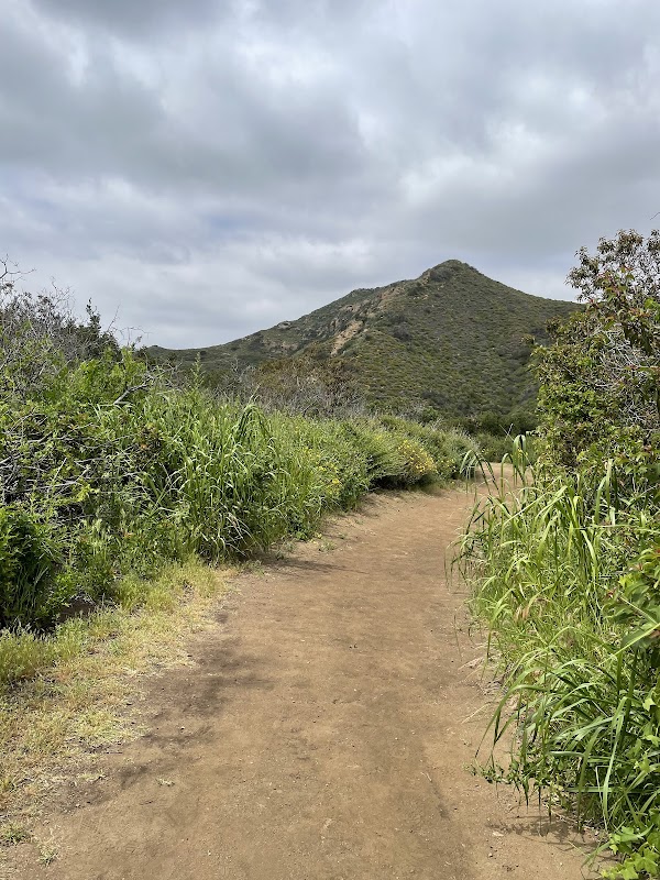 Laguna Coast Wilderness Park