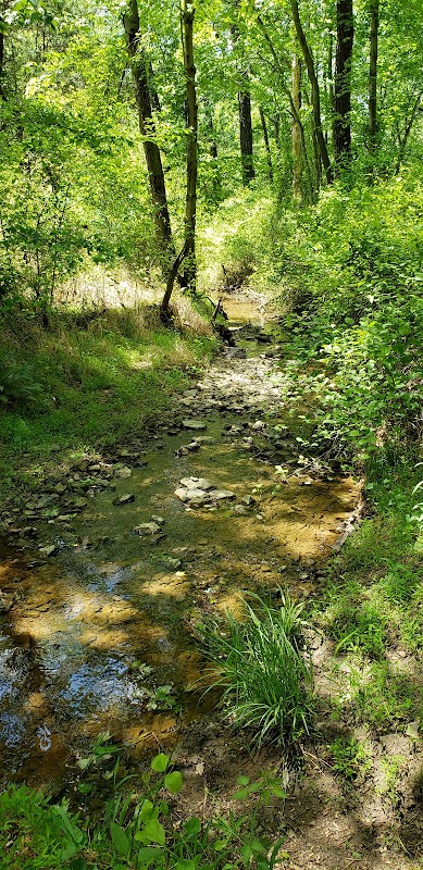 Chrome Serpentine Barrens