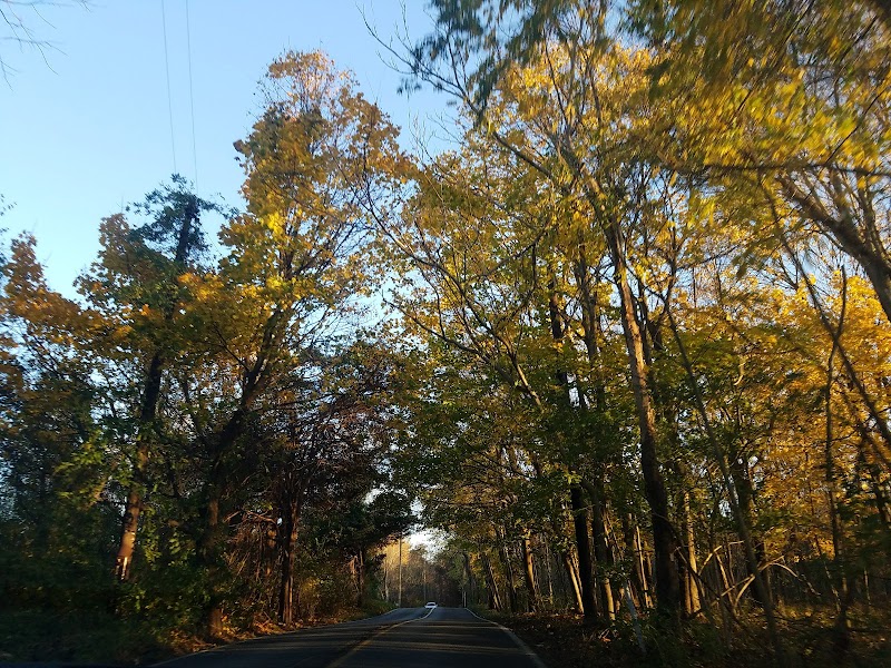 Little Bennett Regional Park - Horse Trailer Parking Area