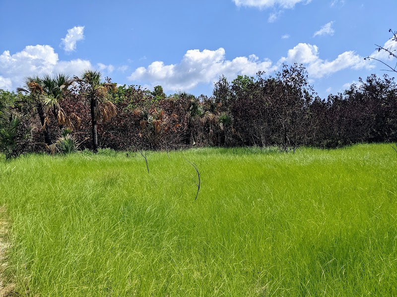 Bear Cut Nature Trail
