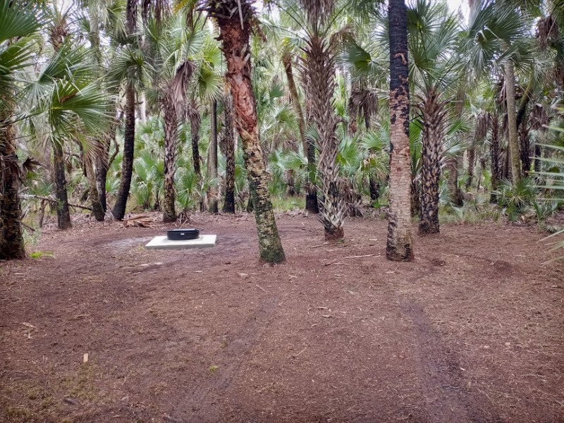 Turkey Roost Campsite