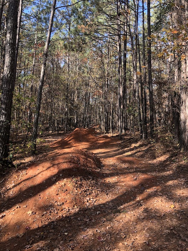 Allatoona Creek Bike Park & Skills Area