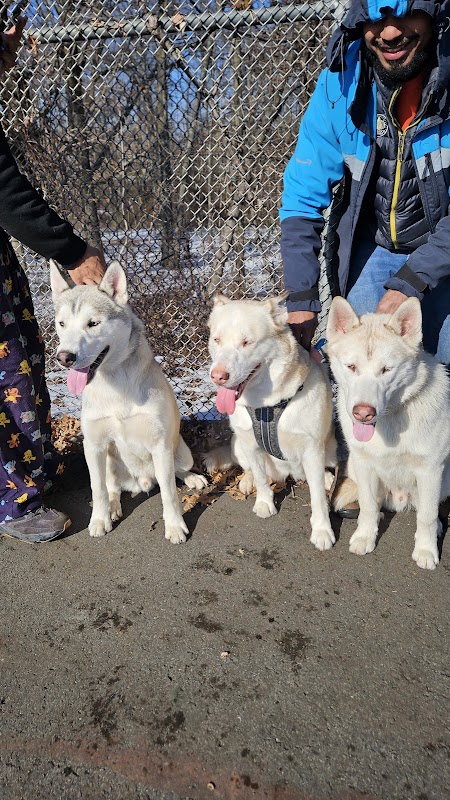 Bruce A. Turcotte Memorial Park