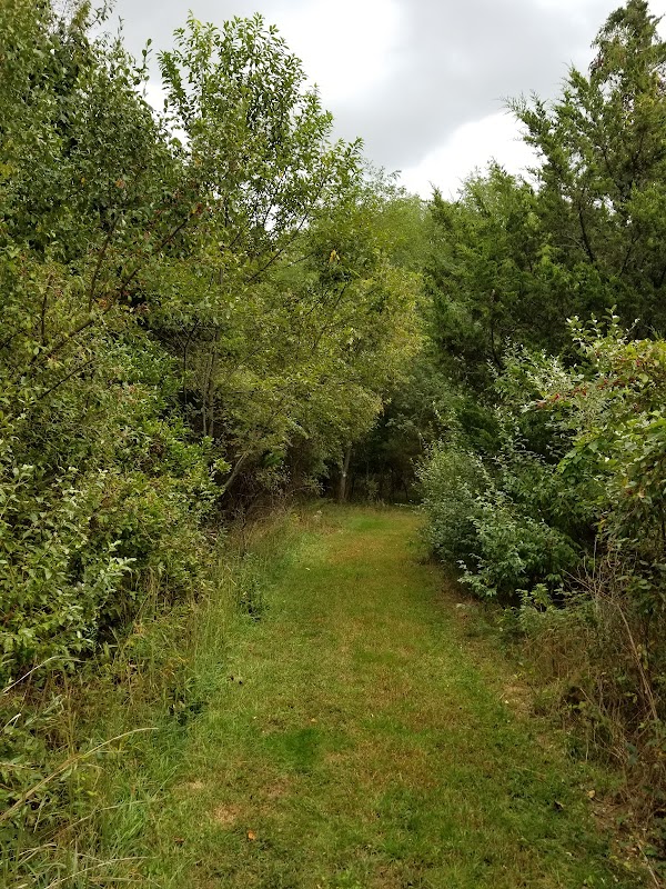 Mill Road Preserve