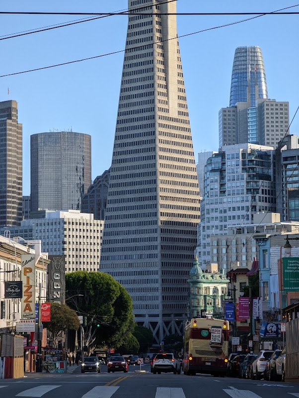 Language of the Birds