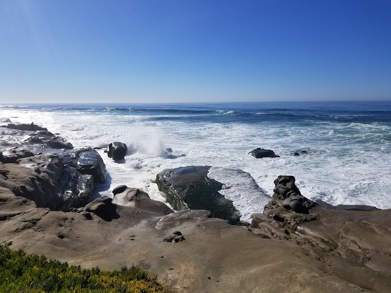 Windansea Park