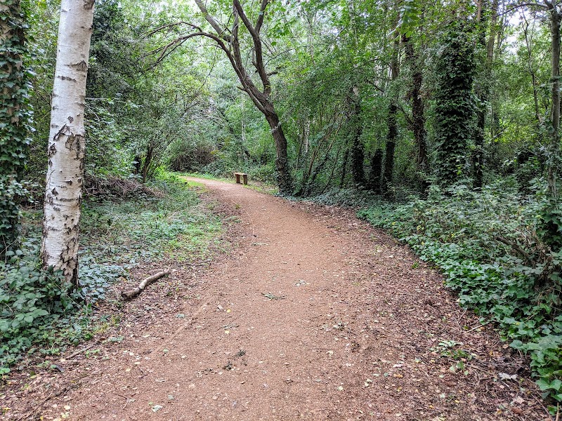 Eardley Road Sidings Nature Reserve