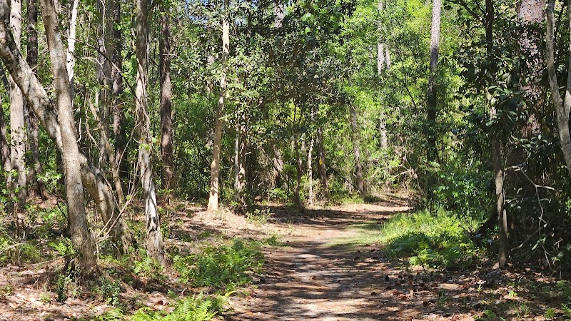 Jones Swamp Wetland Preserve & Nature Trail