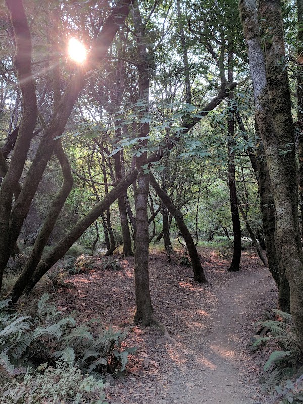 Baltimore Canyon Preserve