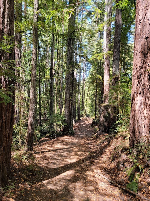 Gary Giacomini Open Space Preserve