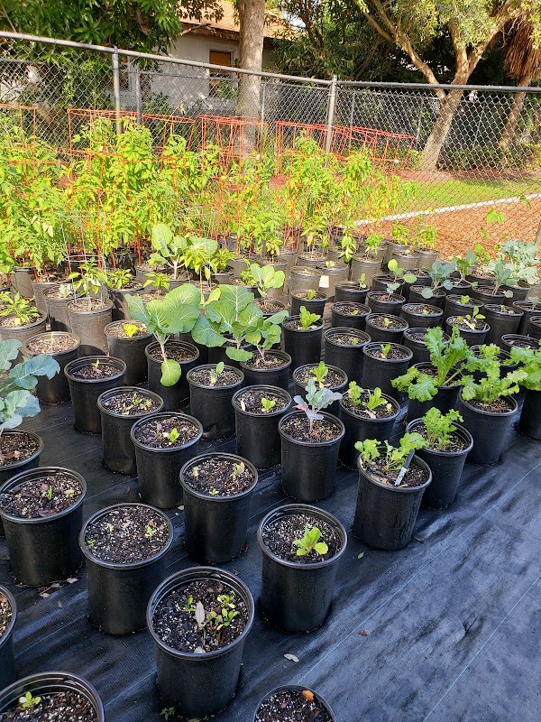 San Castle Community Park