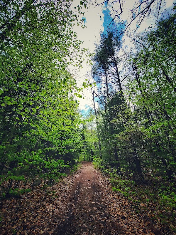 Massabesic Trails