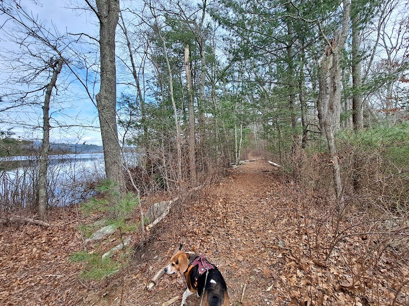 Town of Dartmouth Conservation Area