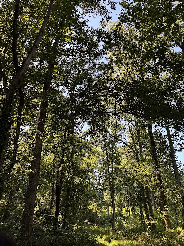 Diamond Farm Park Trails