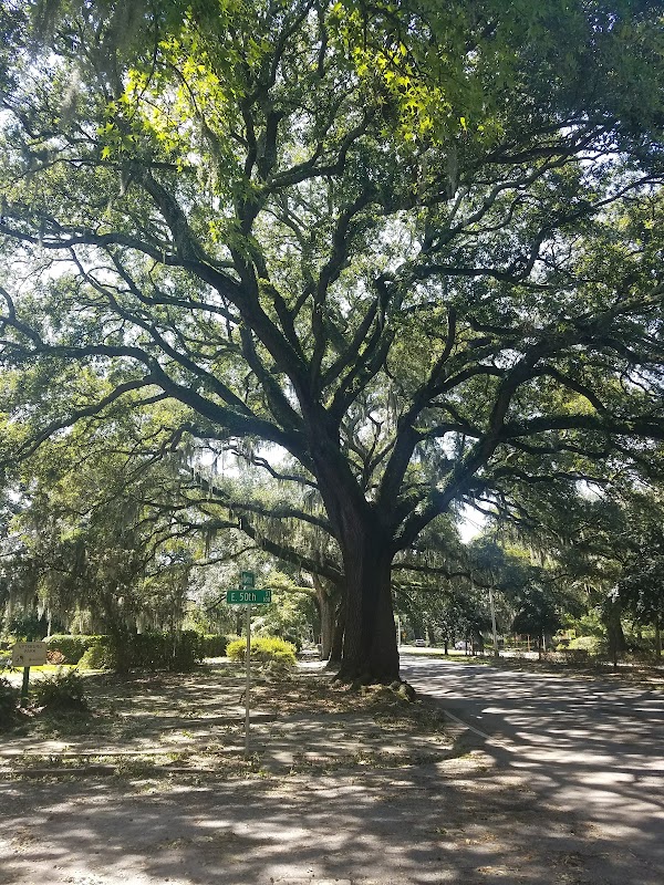 Lattimore Park