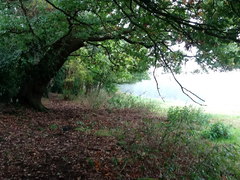 Friends of Harmers Wood Trust Ltd