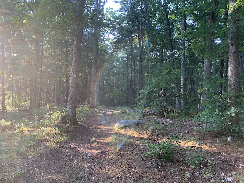 Costa Conservation Area