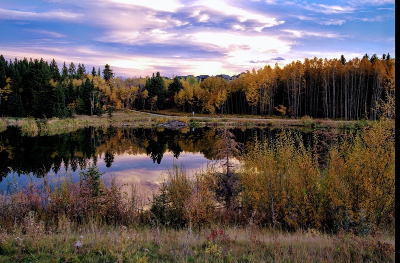 Marshall Springs - Fish Creek Provincial Park