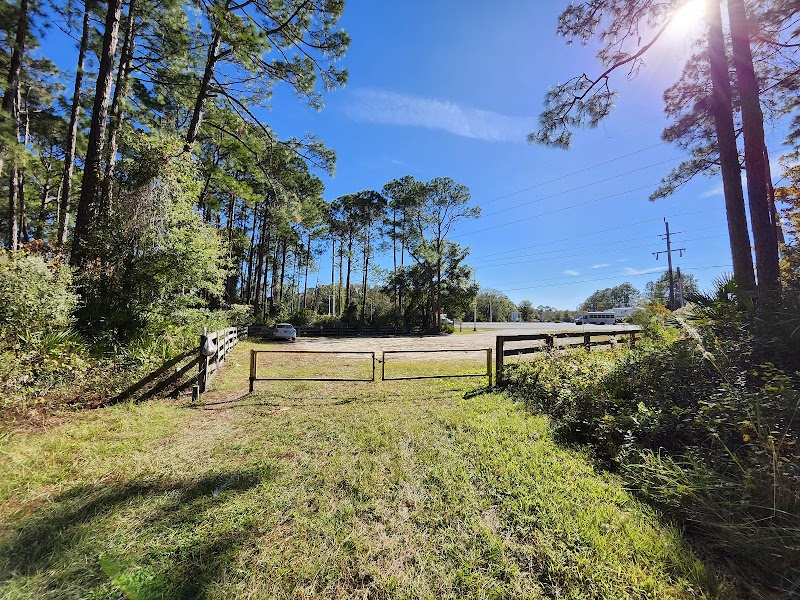 Twelve Mile Swamp Conservation Area