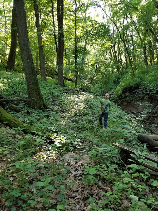 Strasser Woods State Preserve