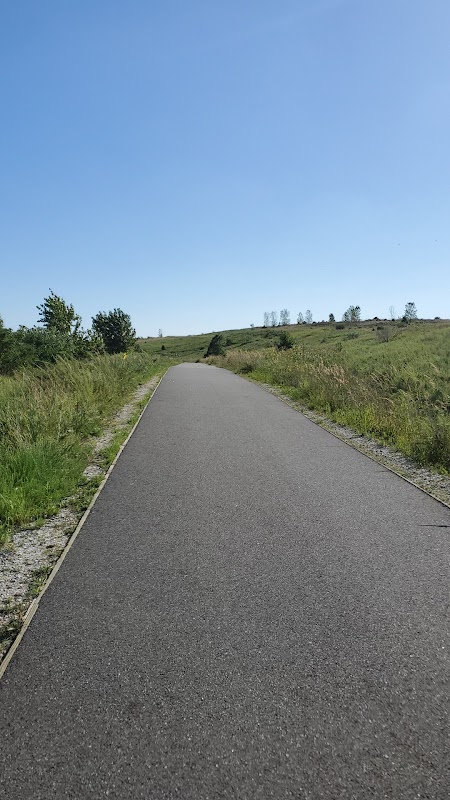 Hiking Path Under Old Mill Creek Bridge
