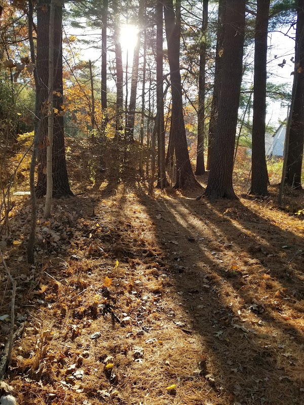 West Meadow Conservation Land