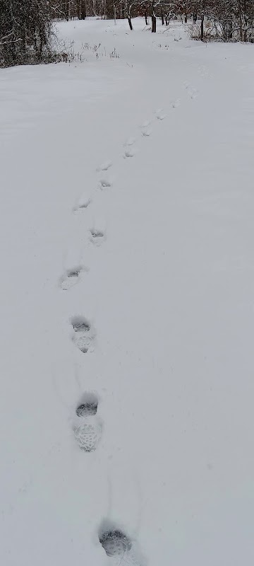 Riverside Maritime Trail Park