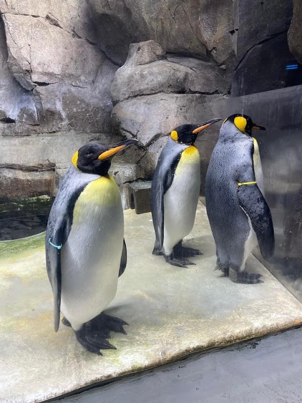 Helzberg Penguin Plaza