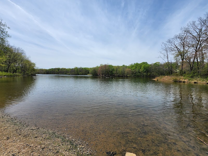 Lake Needwood Picnic Area 3