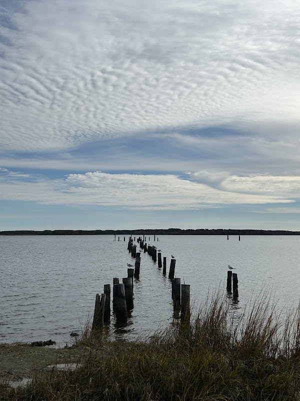 Thomas Jefferson Rollins Nature Area