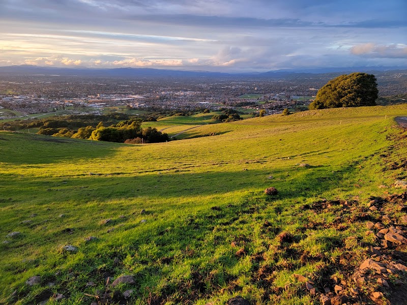 Taylor Mountain Regional Park