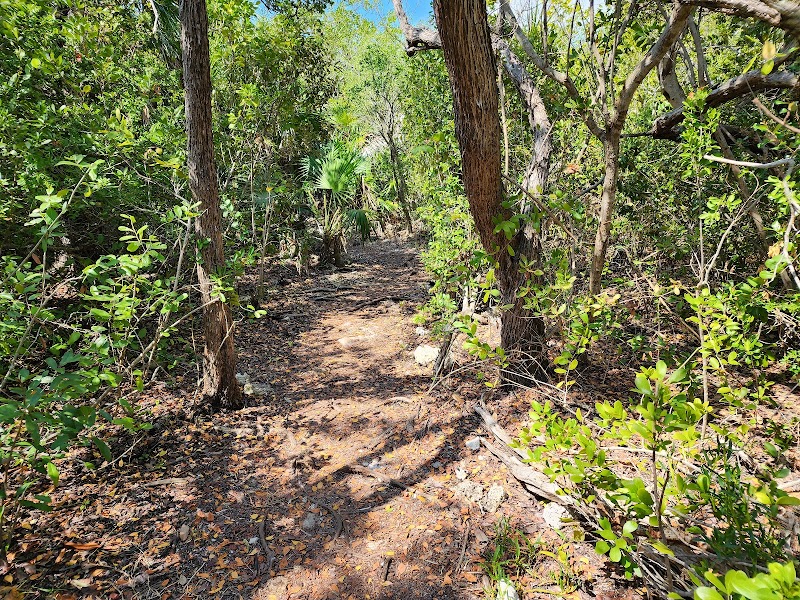 Curry Hammock State Park Trail