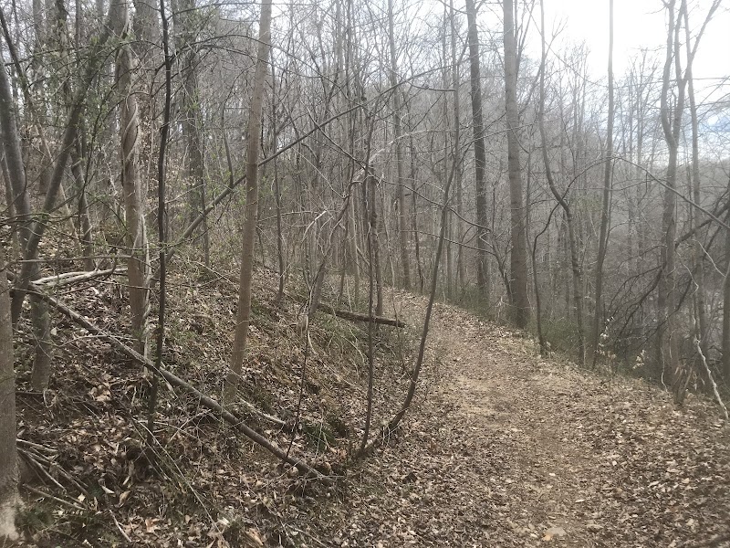 Winters Run Creek Trail