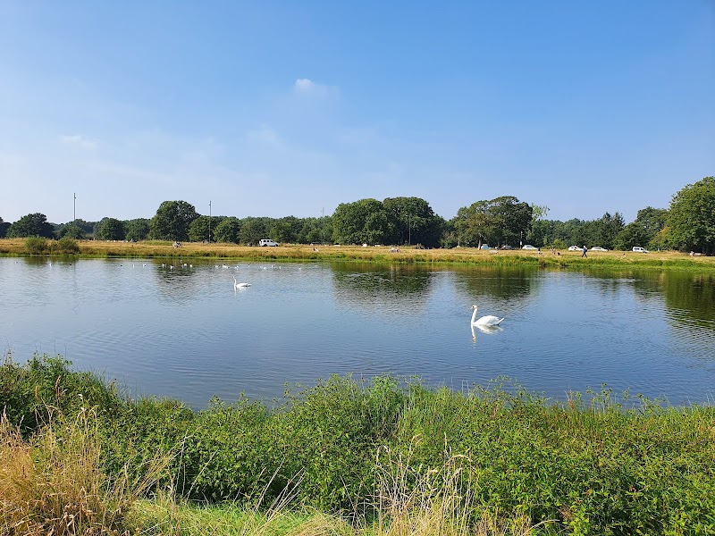 Wimbledon and Putney Commons