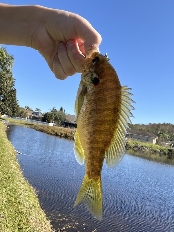 Middle pond