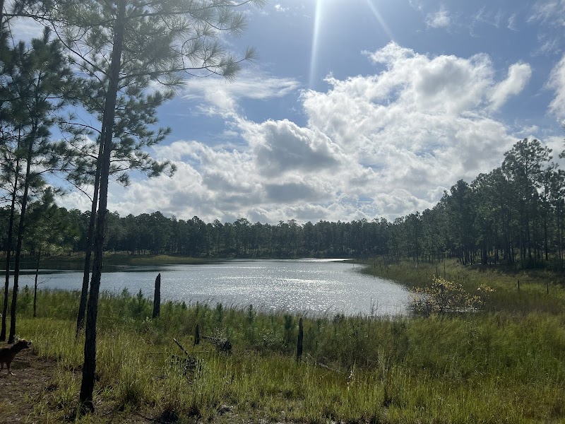 Camp Blanding Wildlife Management Area
